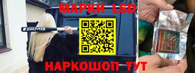 apvp Славгород