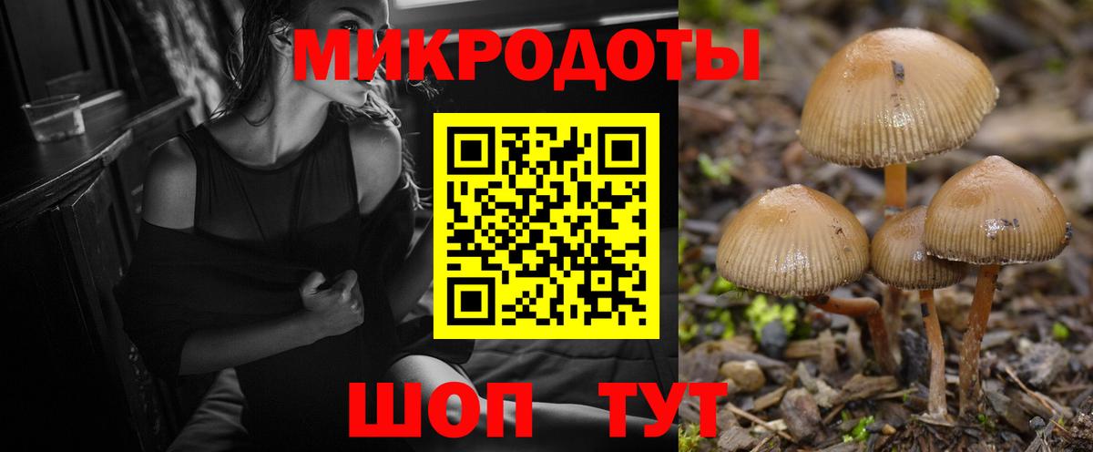 Галлюциногенные грибы Psilocybine cubensis Новый Уренгой